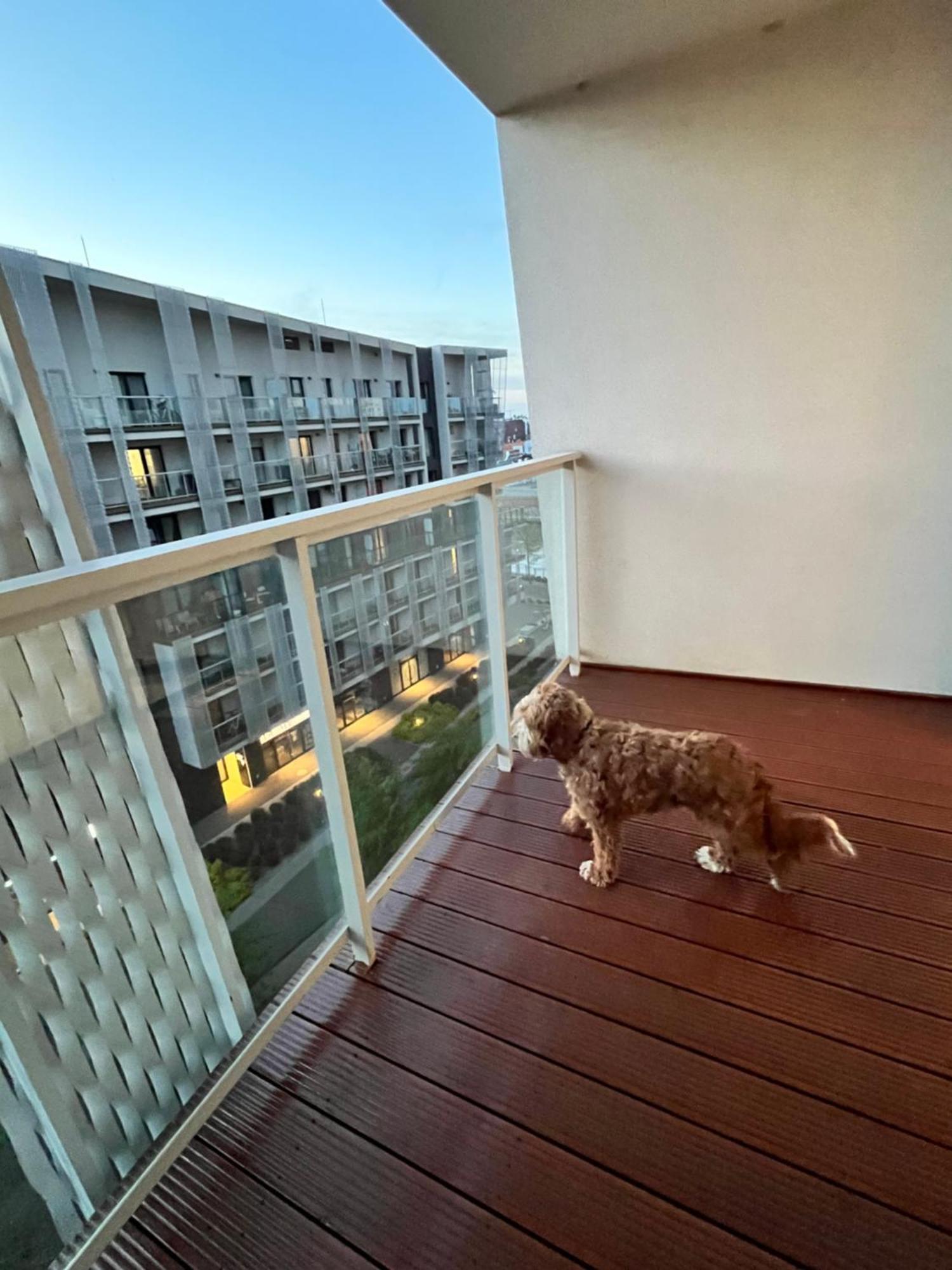 Family House By The River Odra -Panoramic Terrace - 3Room Apartment With 2 Separate Bedrooms And 2 Balconies By Wroapart-Pl- Perfect For Family & Business Stays Wrocław Kültér fotó